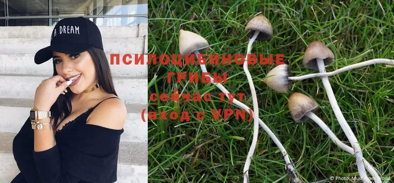 Псилоцибиновые грибы Magic Shrooms  наркотики  Демидов 